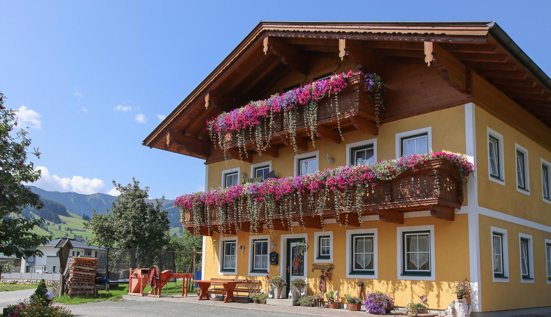 Ferienbauernhof Leogang Sommer 6497