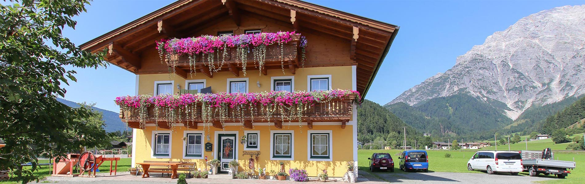 Ferienbauernhof Leogang Sommer 6495